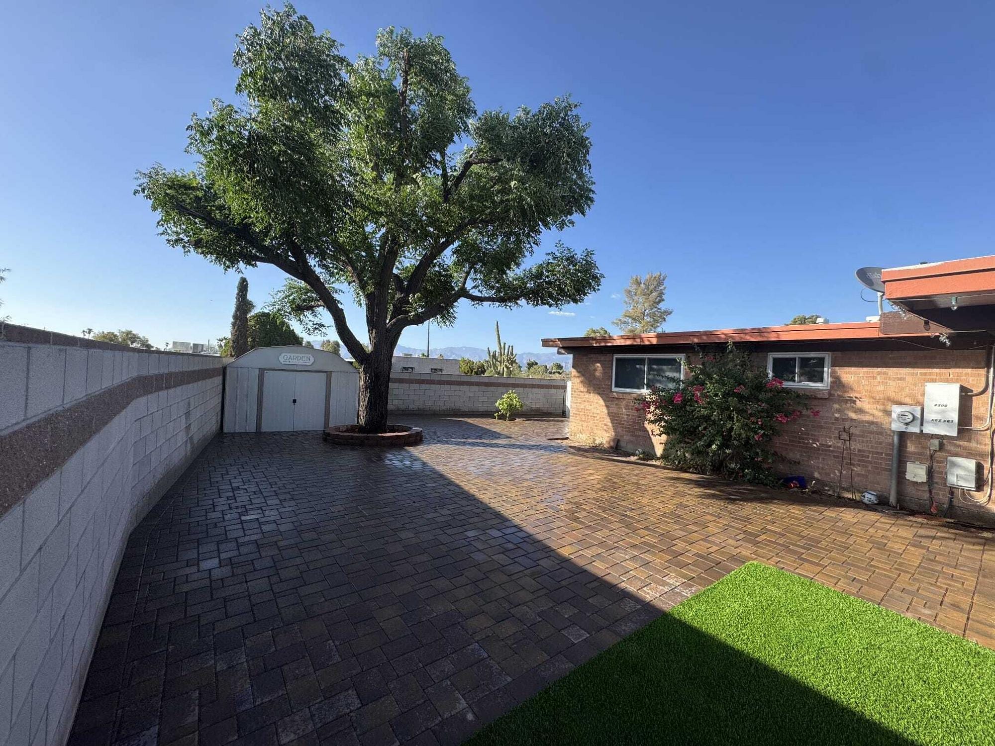 Paver courtyard with a mature shade tree and artificial turf beside a brick home in SaddleBrooke by Sorce Signature Outdoors