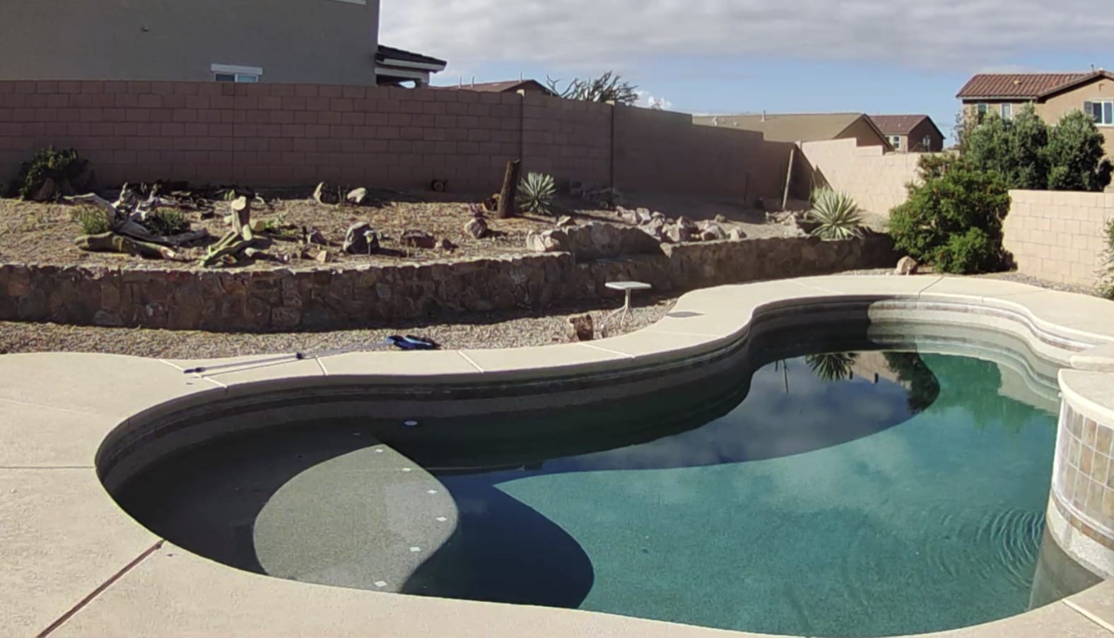 Freeform inground pool with attached spa and concrete decking in a Tanque Verde backyard by Sorce Signature Outdoors