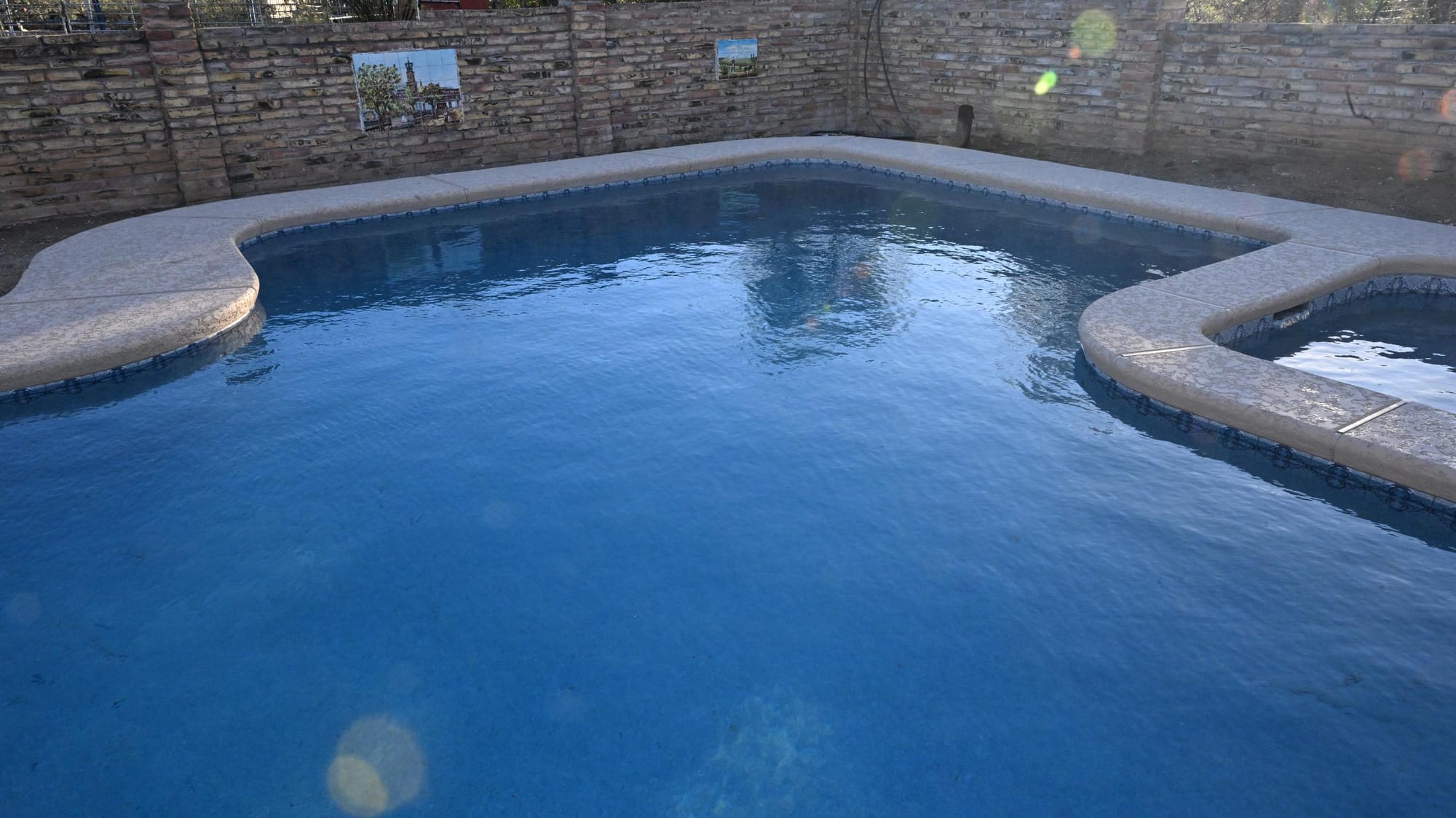 Dove Mountain backyard pool with curved edge and mountain views in Marana
